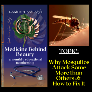 Why Mosquito & Fly Bites Can Endanger Your Health